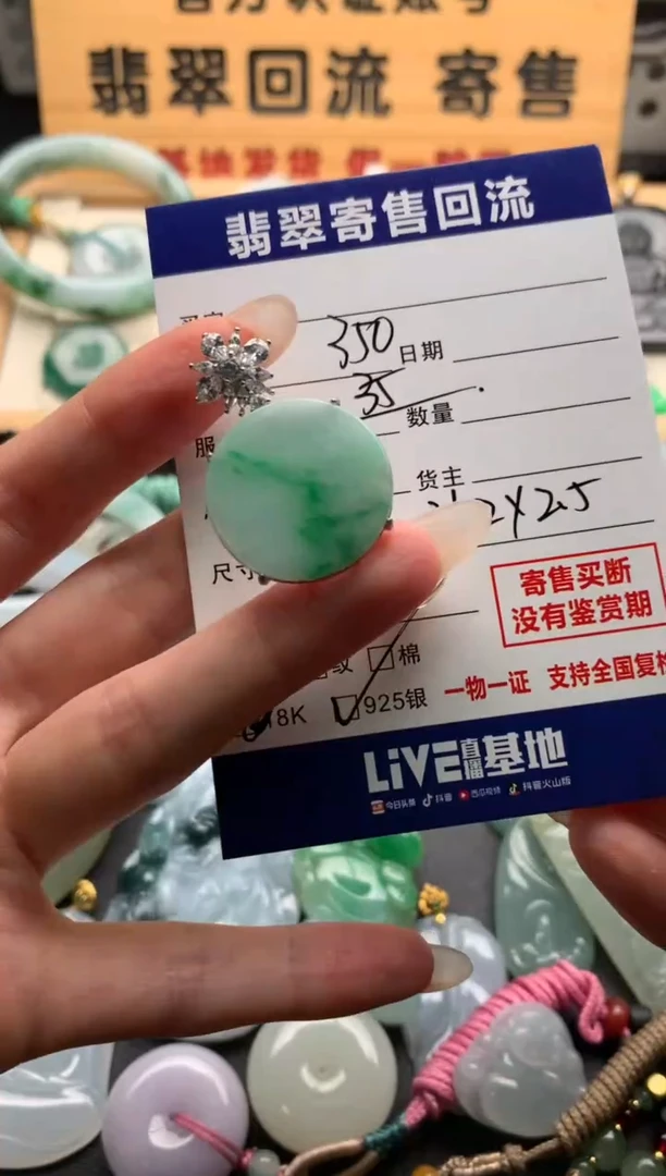 翡翠银S925镶嵌颈饰10137141