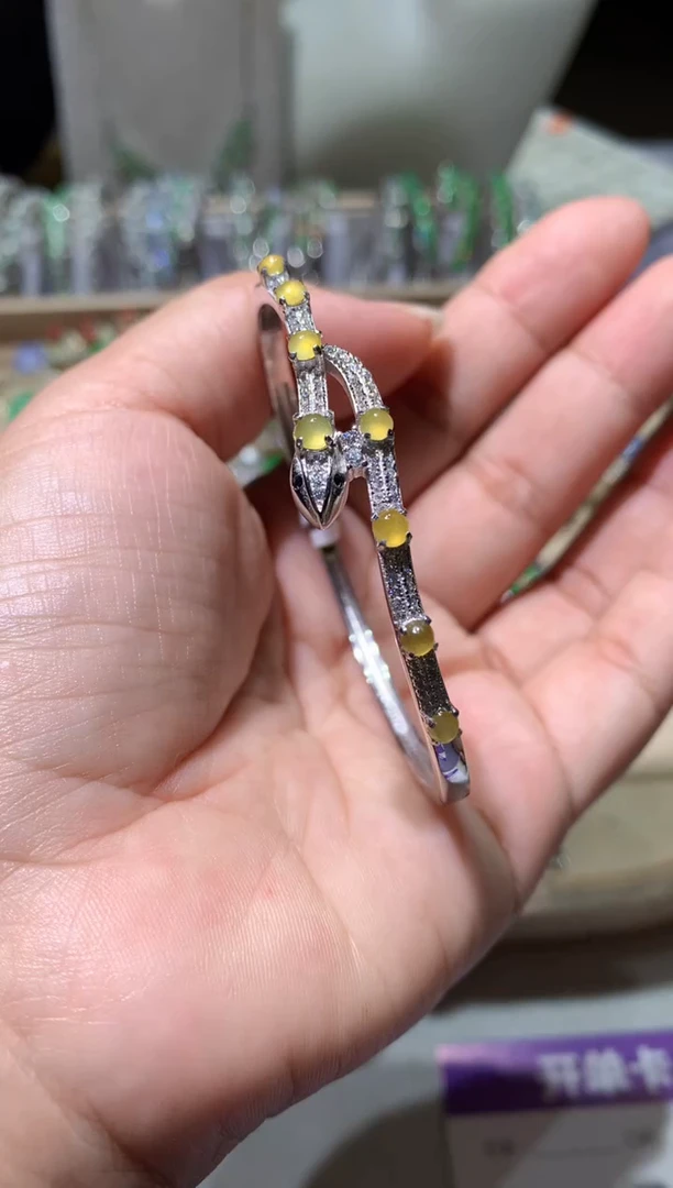 未镶嵌翡翠耳饰手镯