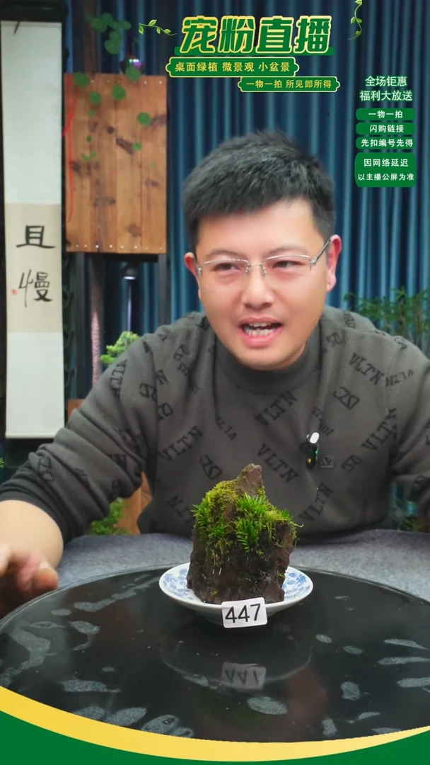 无花朵持**变苔藓微景观447号