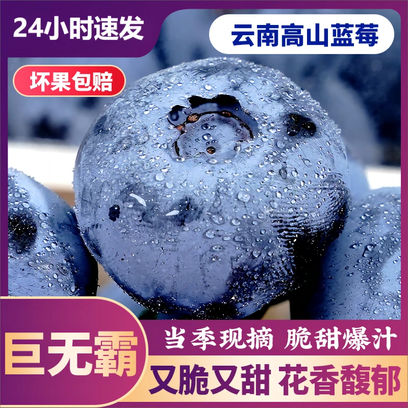 【产地直发】云南蓝莓鲜果特大果现摘新鲜水果怡颗蓝梅超甜100g/盒