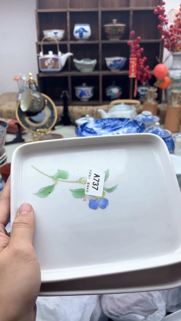 【闪购商品】碟737A................