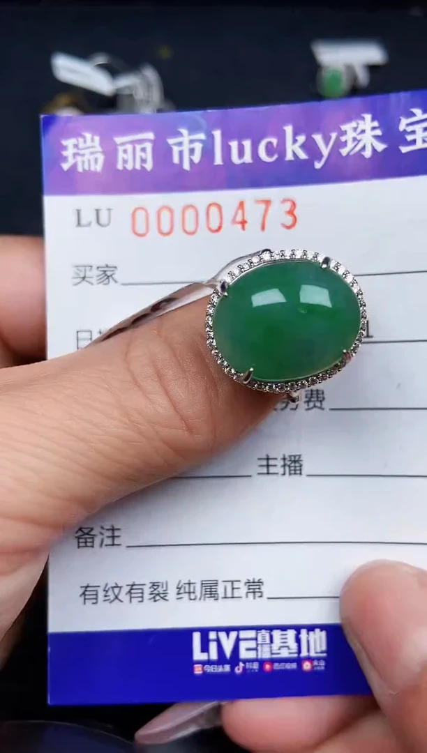 翡翠银S925镶嵌颈饰0473