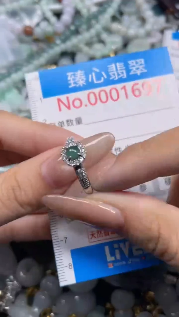 颈饰未镶嵌翡翠1697
