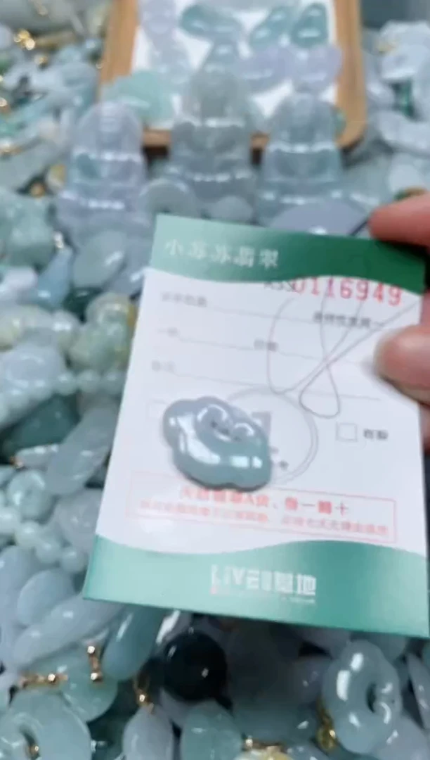 【闪购商品】翡翠颈饰未镶嵌闪购商品0116949