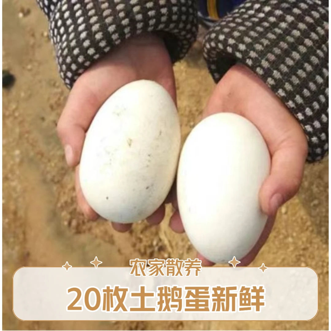 拍10个送10个农家土鹅蛋农家散养谷物新鲜鹅蛋破损包赔到手20个