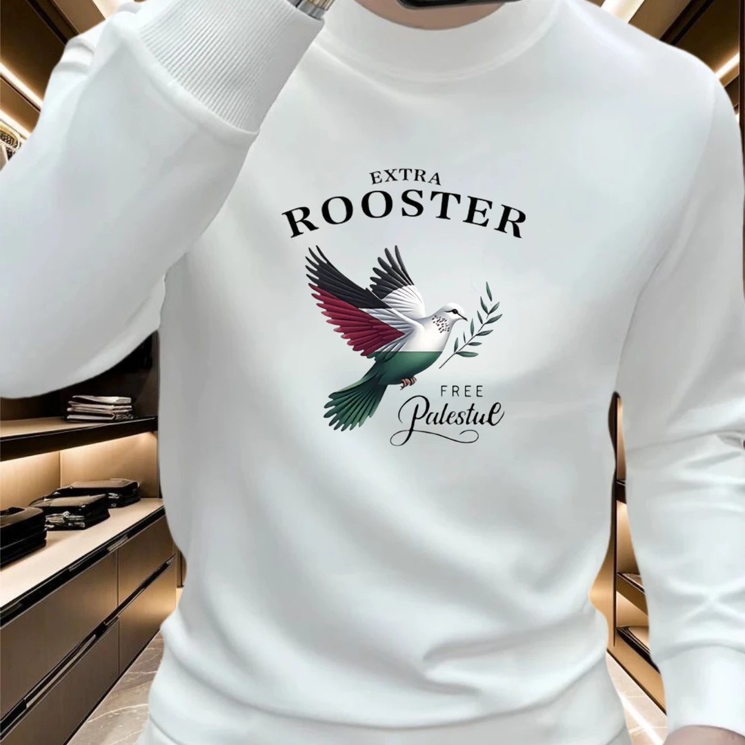 个性潮流鸽子印花重磅圆领卫衣痞帅街头宽松休闲时尚男潮流卫衣