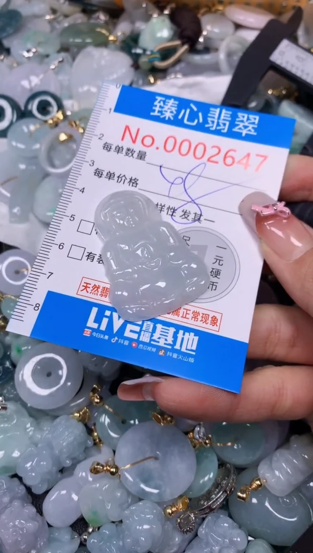 【闪购商品】翡翠颈饰未镶嵌含绳0002647