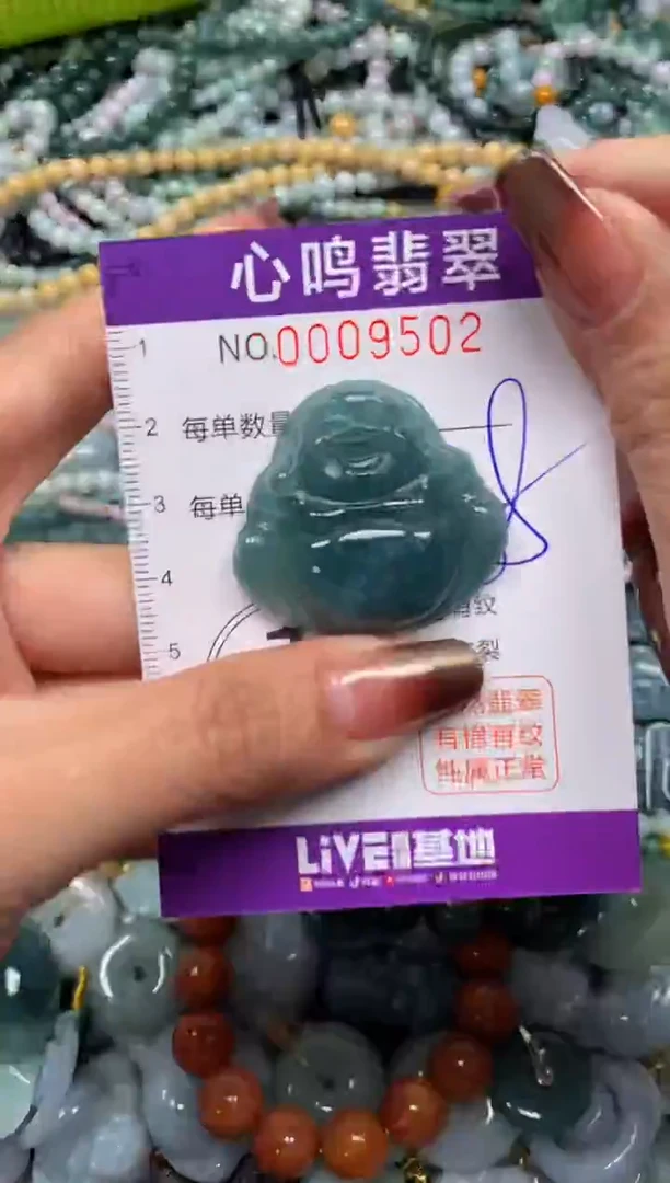 颈饰未镶嵌翡翠闪购009502