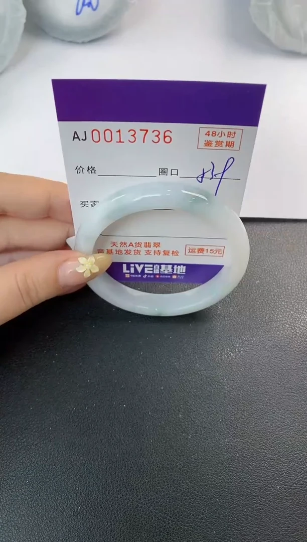 未镶嵌手镯翡翠天然A货翡翠1