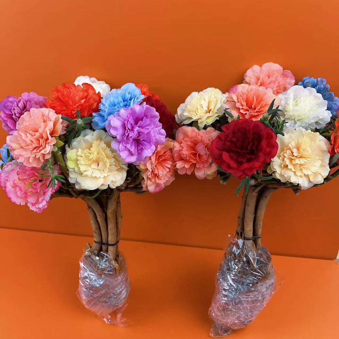 （多色6棵丛林桩）多色重瓣太阳花丛林老桩