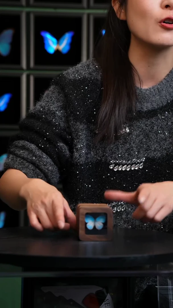 天空蓝优雅灰蝶胡桃木盒子款