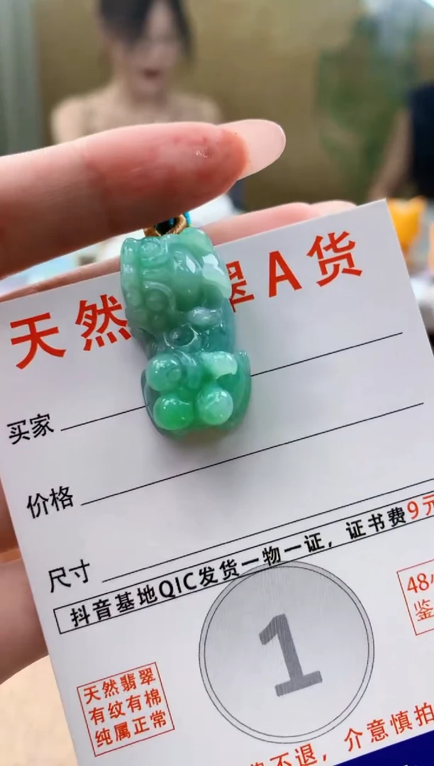 颈饰未镶嵌翡翠天然A货翡翠挂件