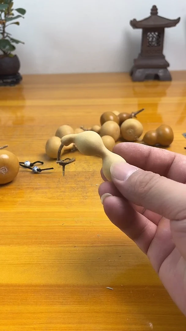 ~*11111111111111111111111