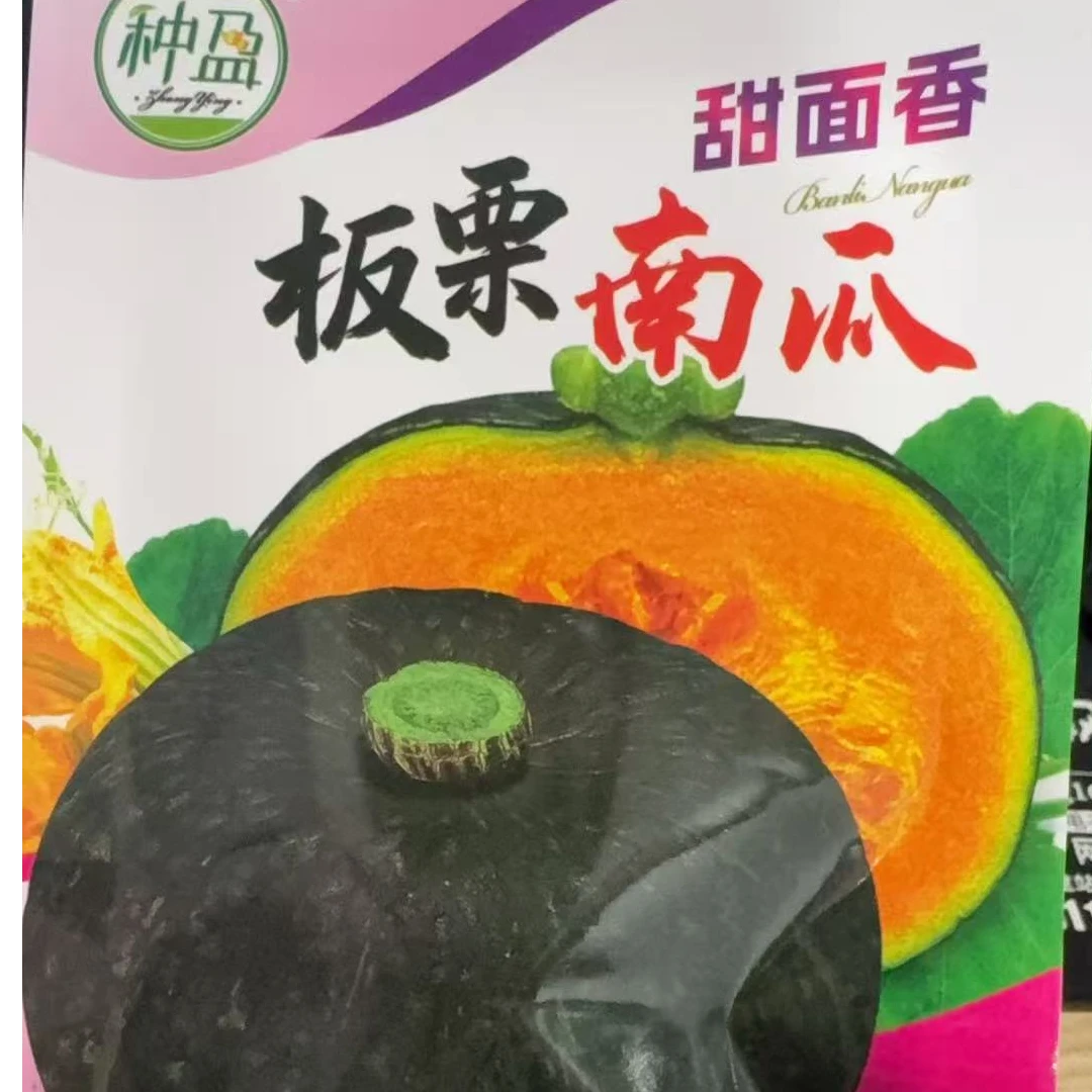 种盈板栗南瓜 甜面香大南瓜