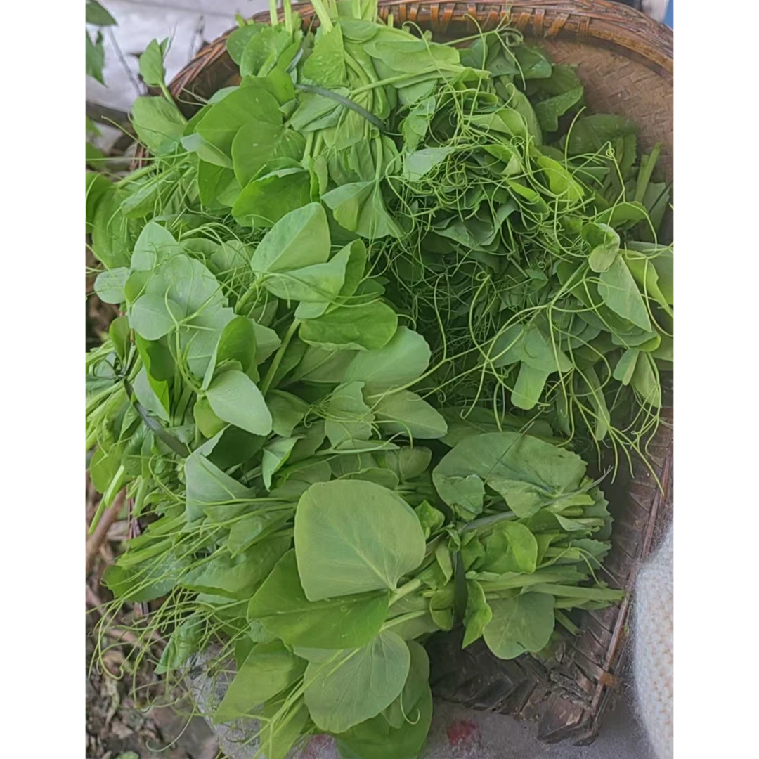 农家新鲜豌豆尖（送野葱一把）