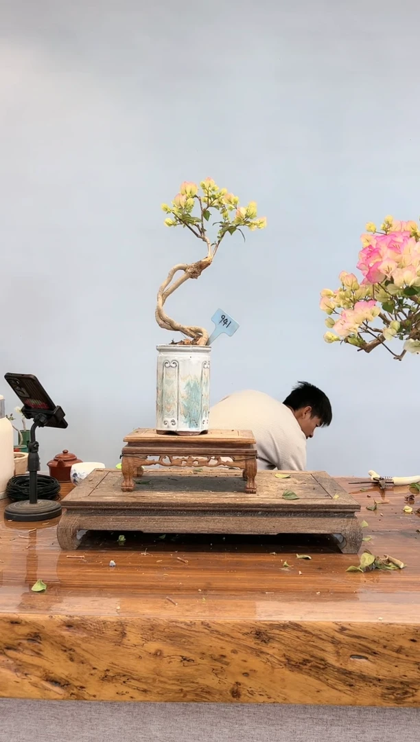 【闪购商品】aa941