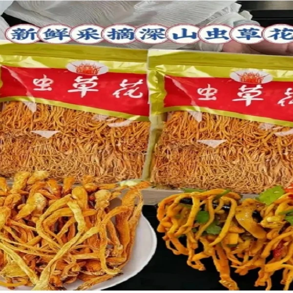 【甘肃溯源精选】新鲜人工采摘深山虫草花