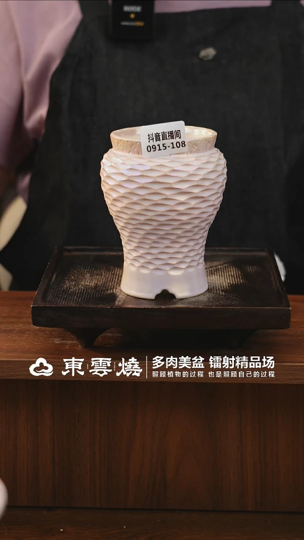 0915-108C凤尾尊内口6
