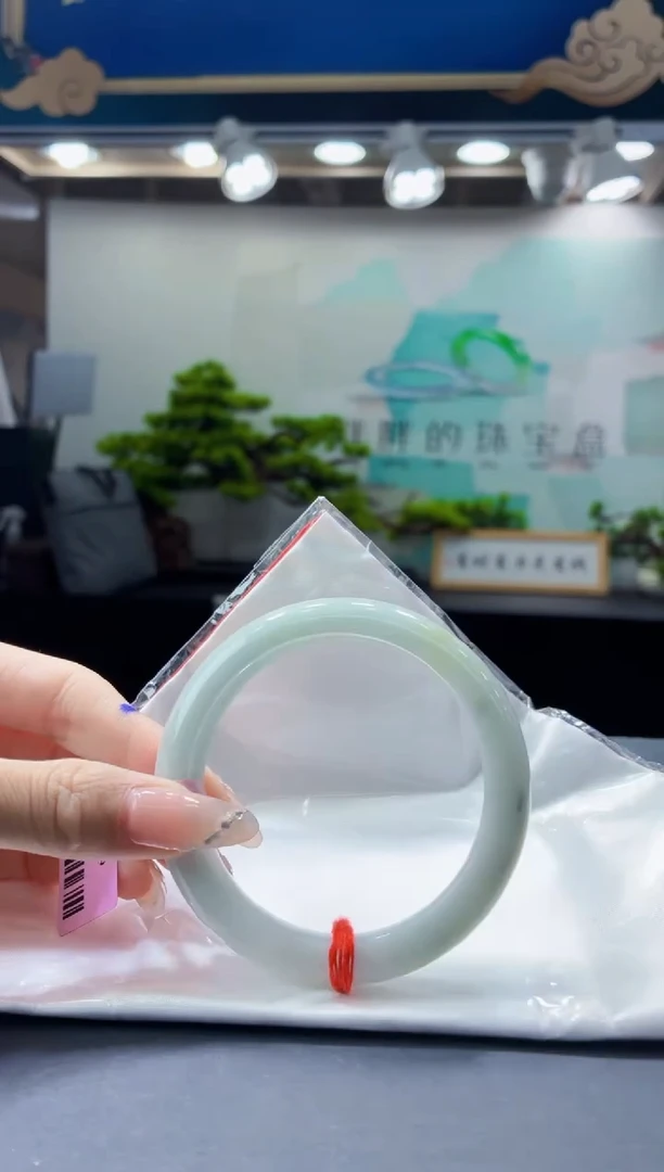 未镶嵌手镯翡翠4