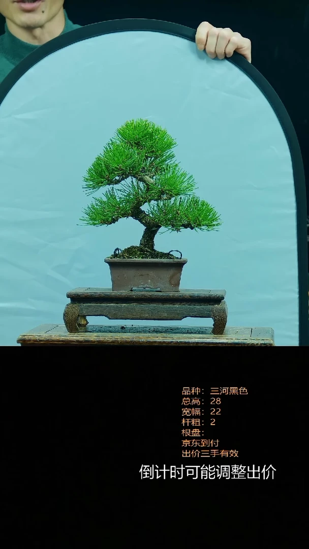 【闪购商品】00000