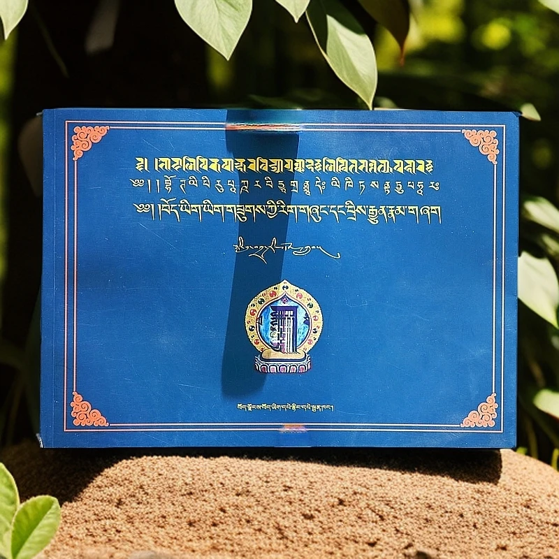 藏文书法对照本