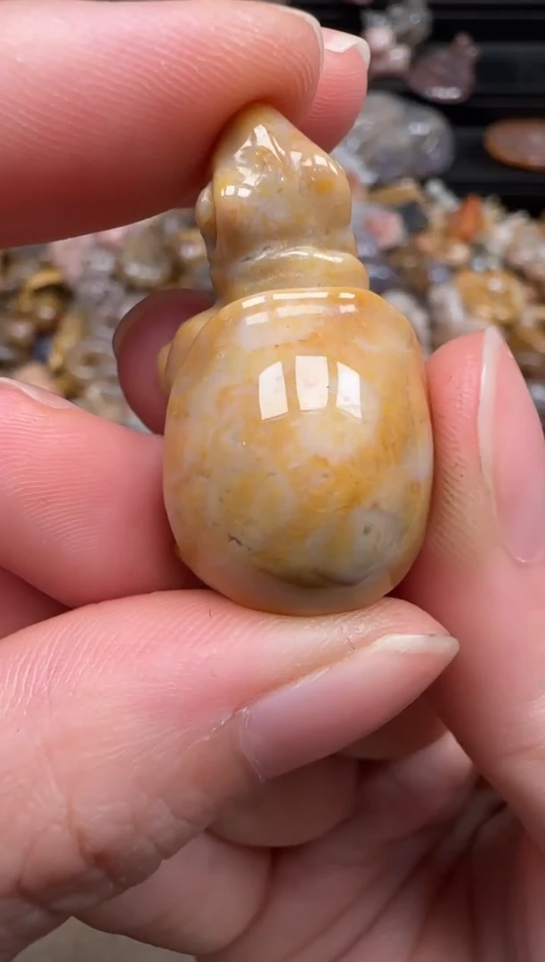 硅化珊瑚（珊瑚玉）未镶嵌颈饰666