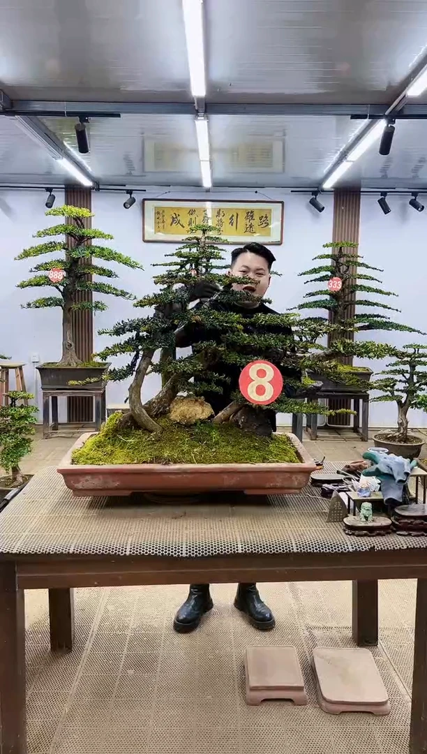 【闪购商品】000000000
