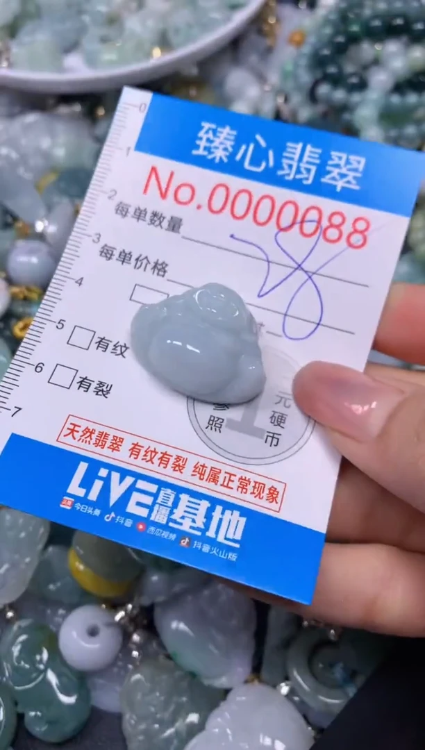 【闪购商品】翡翠颈饰未镶嵌含绳0000088