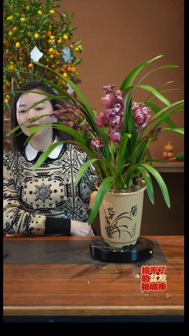 全部花朵红宝石杏色