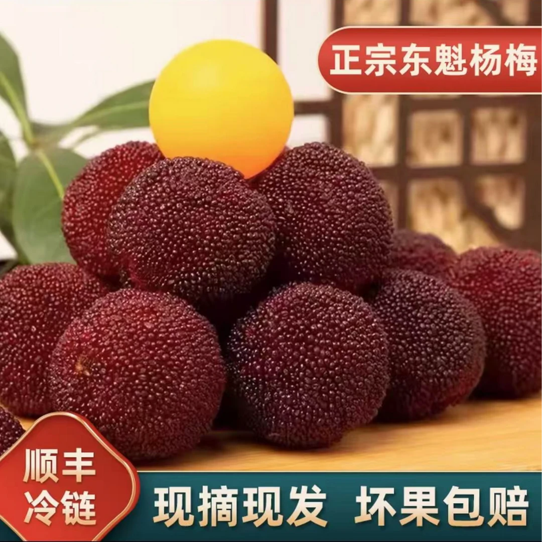 浙江东魁杨梅9A头茬果摘礼盒装1.2/2/5（净重）单果18-23克顺丰冷链