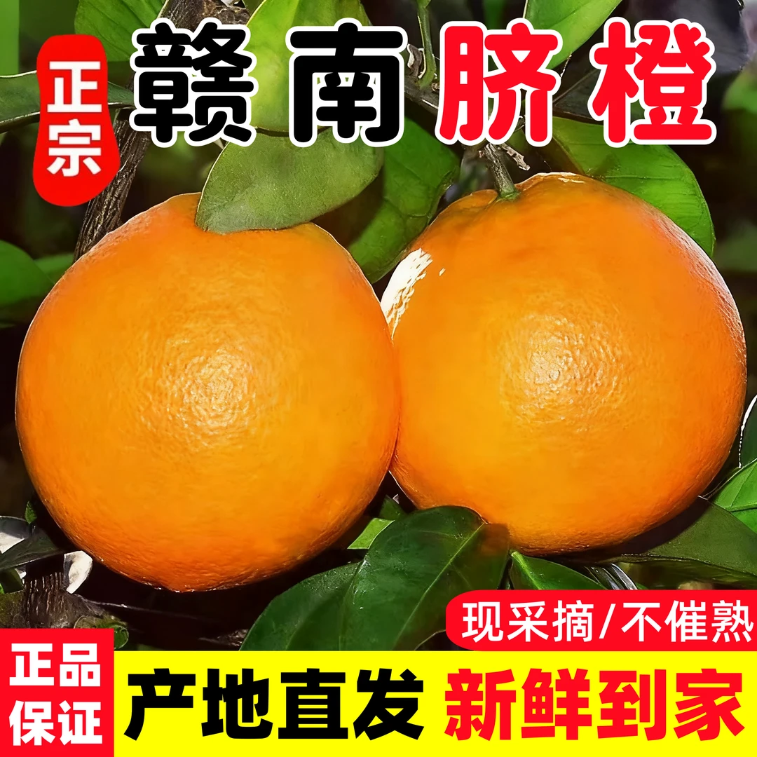 正宗江西赣南脐橙新鲜当季水果产地直发手剥甜橙配开橙器带箱10斤