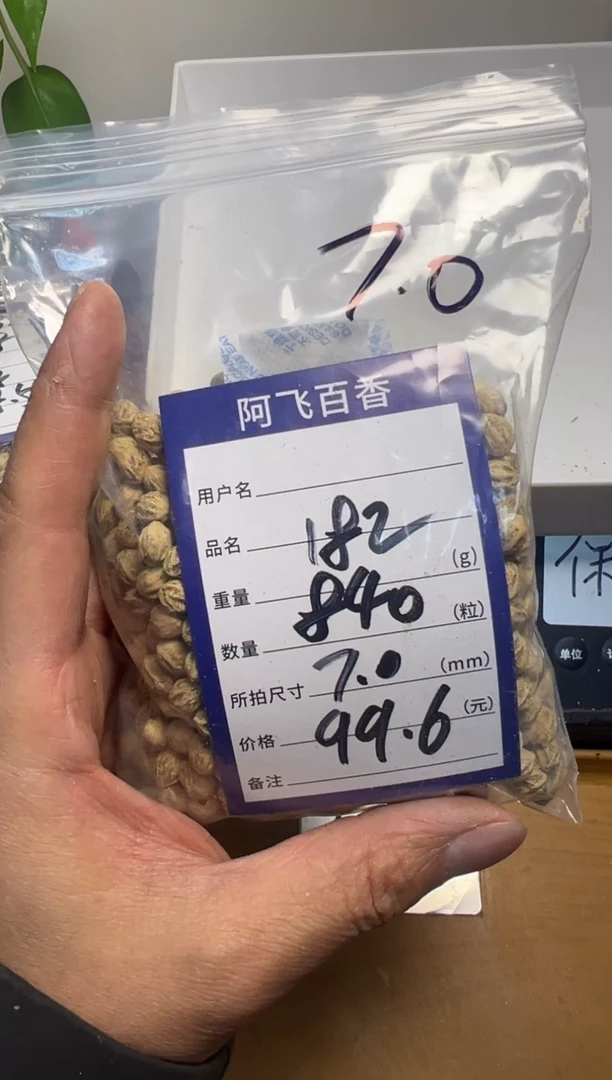 【闪购商品】柏香籽/百香籽吊坠99.6