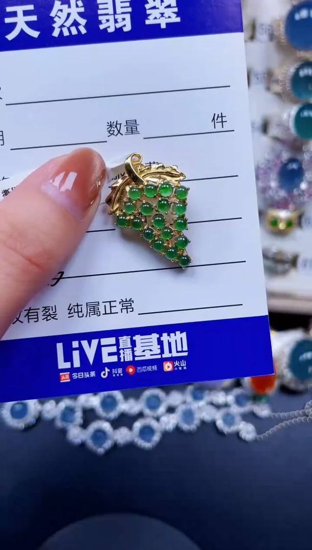 颈饰银S925镶嵌翡翠215