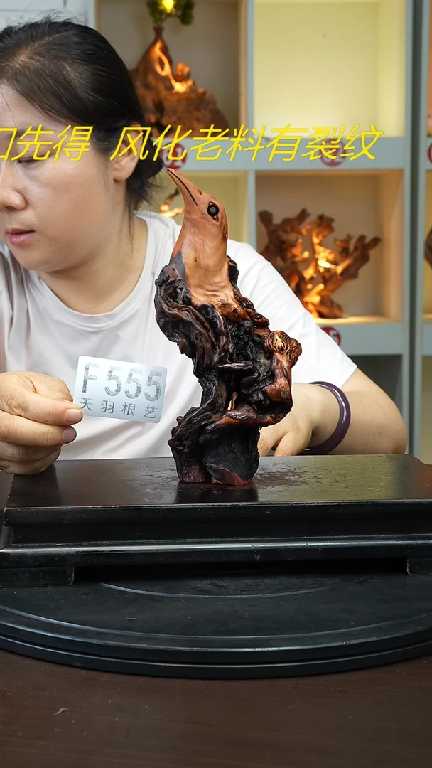 木云南黑果木小鸟