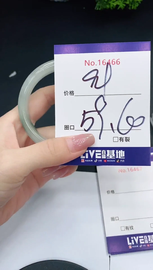 未镶嵌手镯翡翠16466