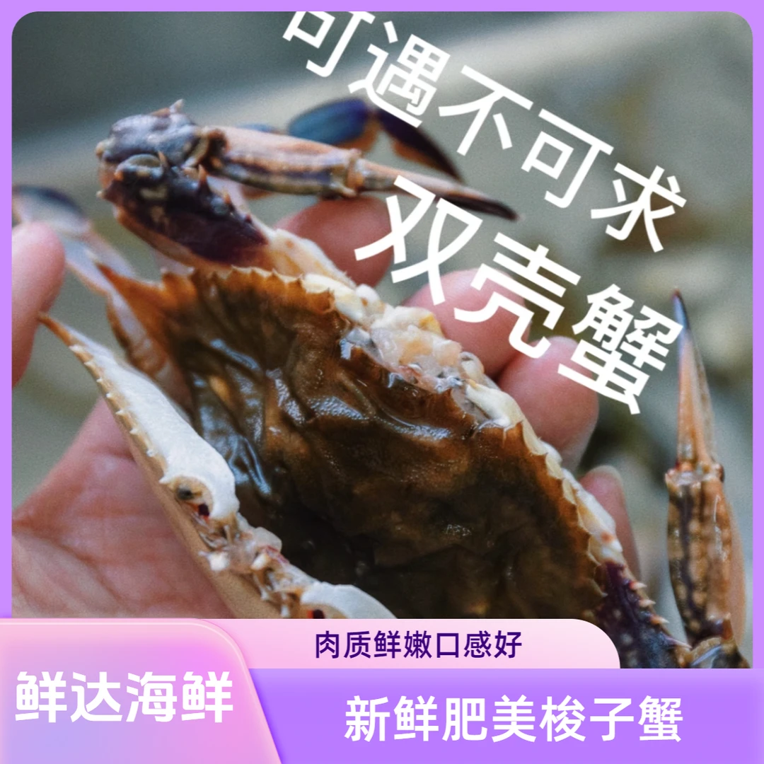 【保鲜不保活】鲜活海蟹10成肉（双盖多)斤两只