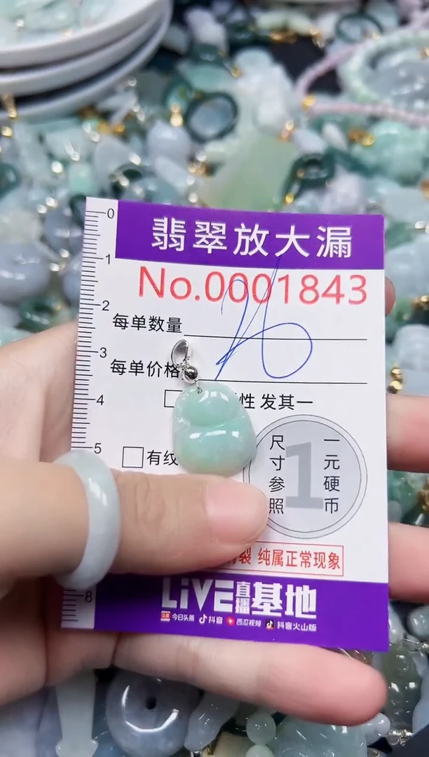 颈饰未镶嵌翡翠1843