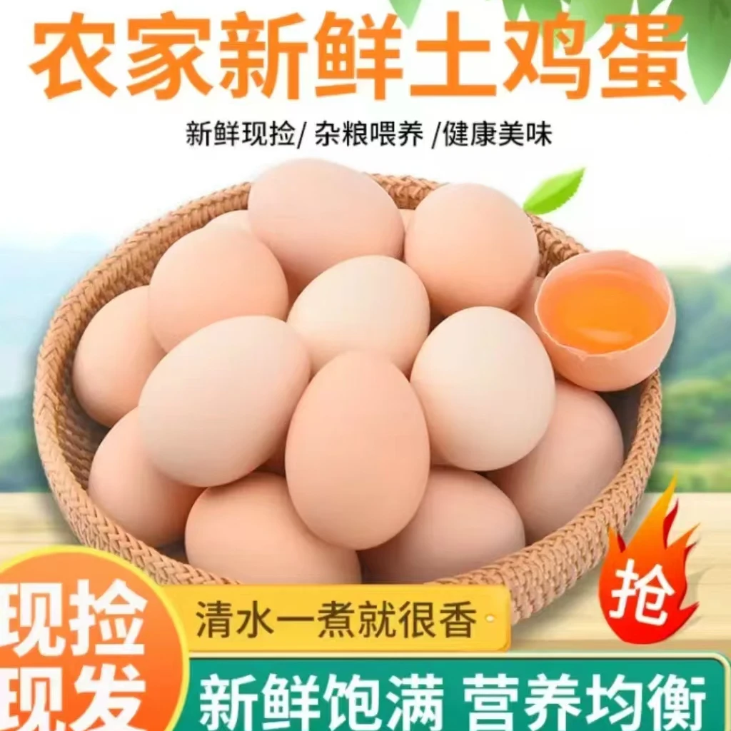 树林散养土鸡蛋新鲜直发绿色天然无菌
