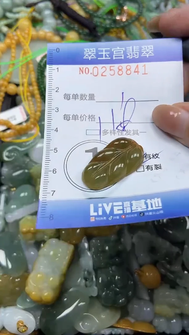 颈饰未镶嵌翡翠闪购C0258841