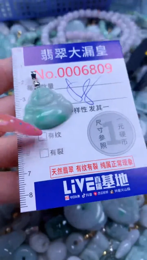 翡翠未镶嵌吊坠(不含链)6809