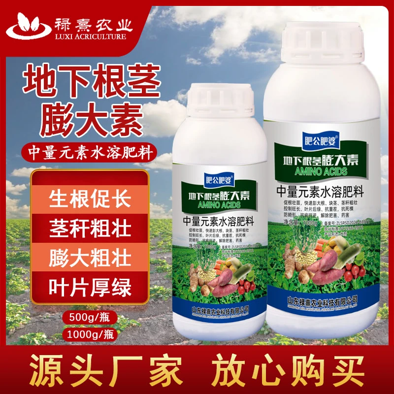 肥公肥婆地下根茎块茎膨大剂土豆马铃薯大蒜大姜药作物通用科技