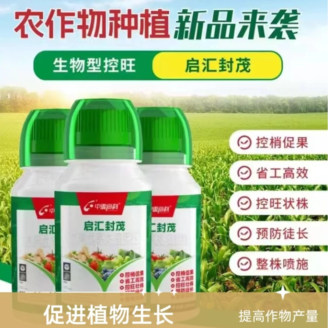 葡萄枝条控旺肥料启汇封茂有机绿色植物农用健壮丰收蔬菜