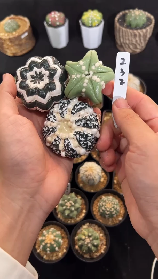 ?****^摆件三个编码232