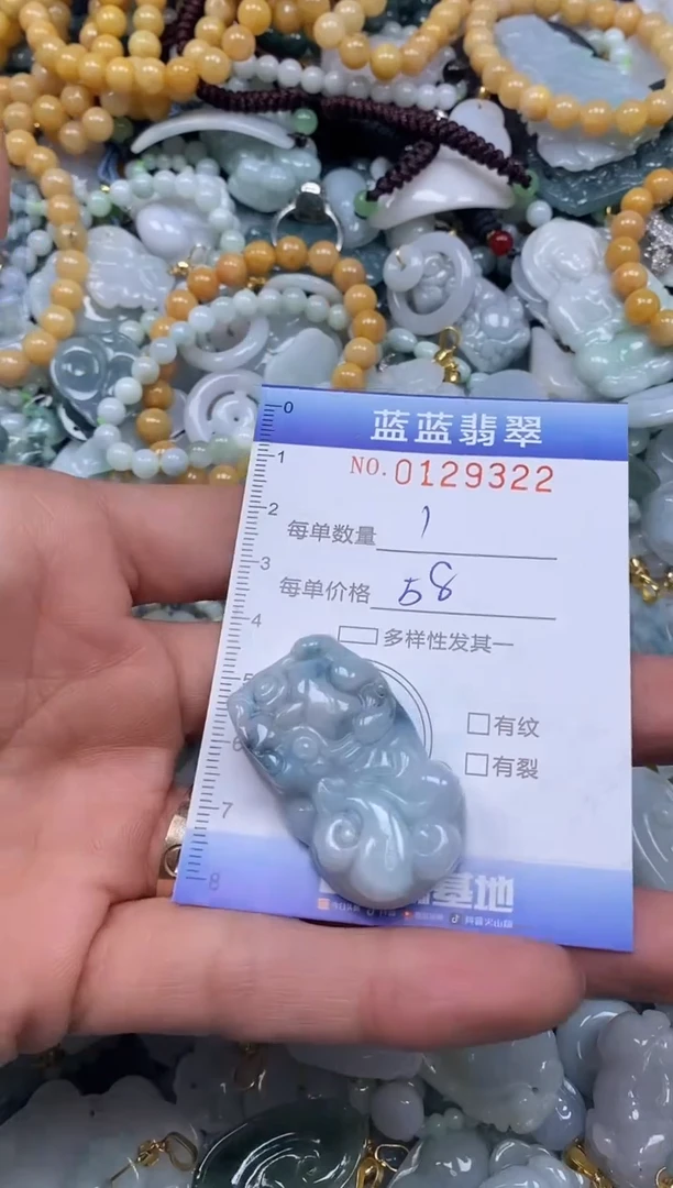 【闪购商品】翡翠颈饰未镶嵌闪购0129322