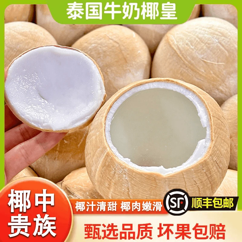 泰国椰皇新鲜椰子6/10个装当季孕妇水果香椰子水椰皇一整箱特产