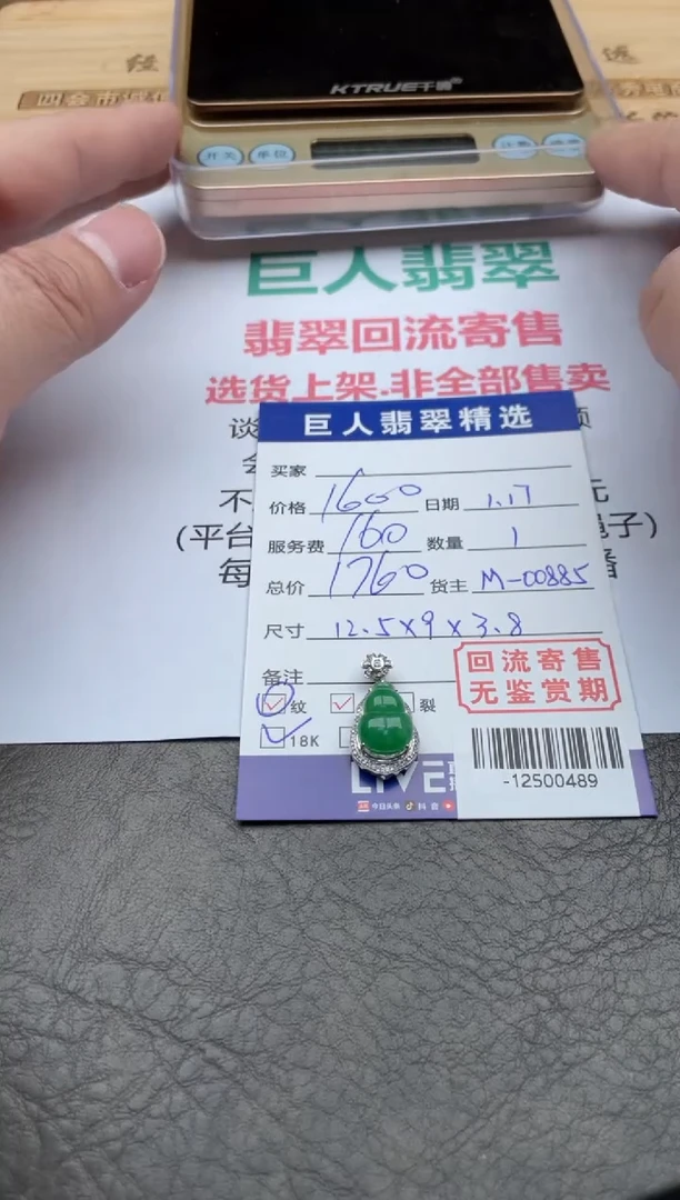 【闪购商品】翡翠颈饰18K金镶嵌-12500489