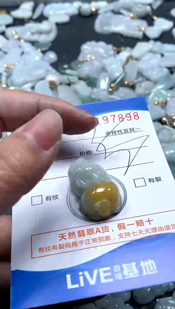 【闪购商品】翡翠颈饰未镶嵌闪购商品0197898