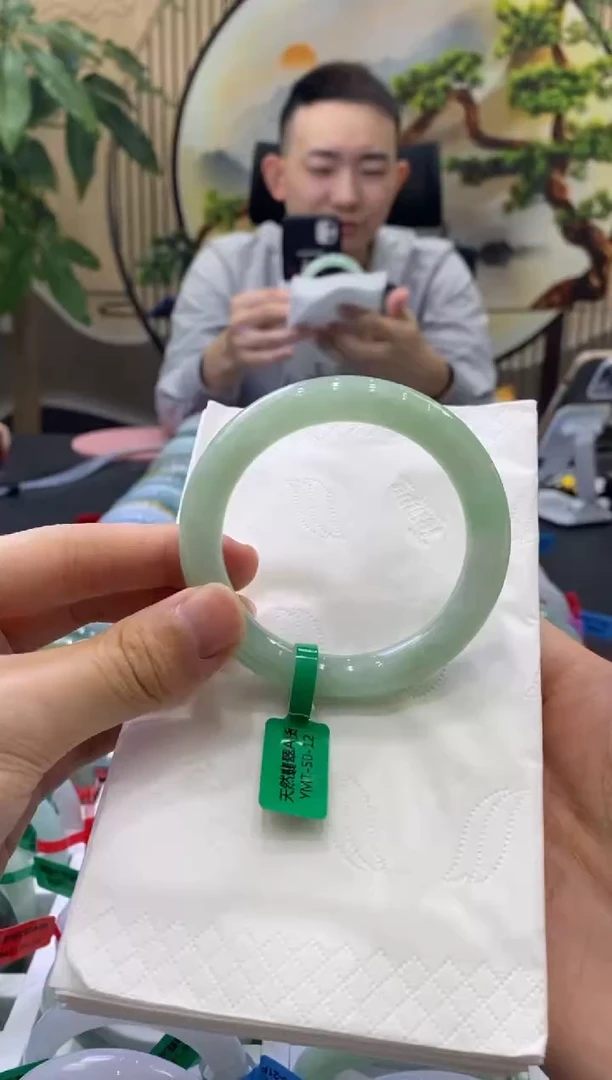 未镶嵌手镯翡翠6002