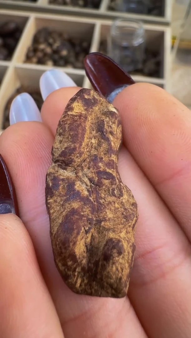 【闪购商品】沉香吊坠越南惠安红土