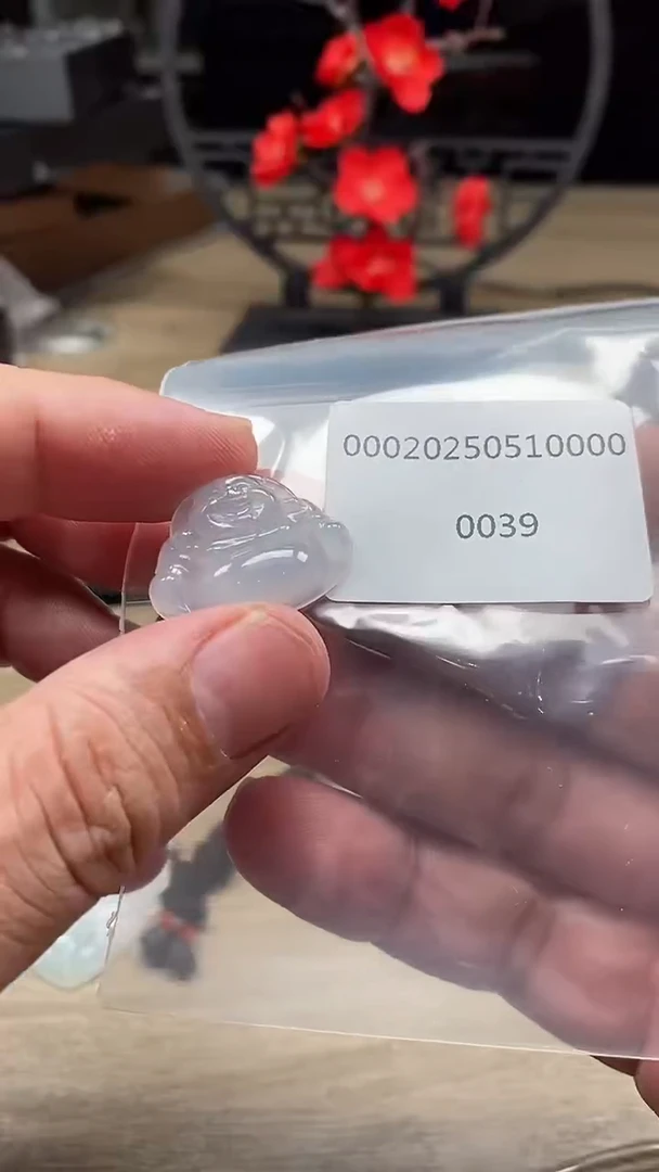 翡翠未镶嵌颈饰00020250510000